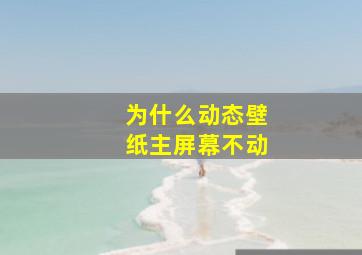 为什么动态壁纸主屏幕不动