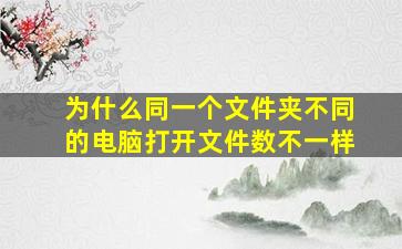 为什么同一个文件夹不同的电脑打开文件数不一样