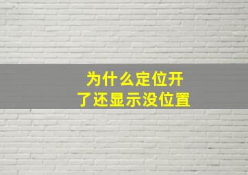 为什么定位开了还显示没位置