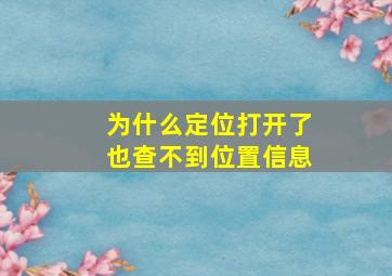 为什么定位打开了也查不到位置信息