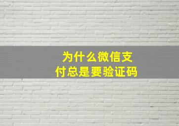 为什么微信支付总是要验证码