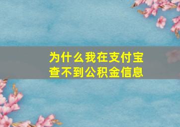 为什么我在支付宝查不到公积金信息