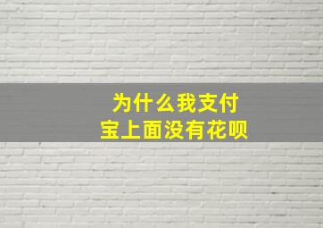 为什么我支付宝上面没有花呗