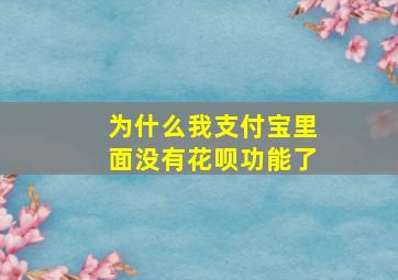 为什么我支付宝里面没有花呗功能了