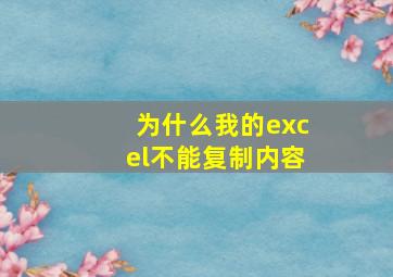 为什么我的excel不能复制内容