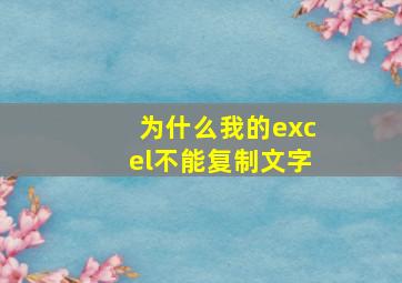 为什么我的excel不能复制文字