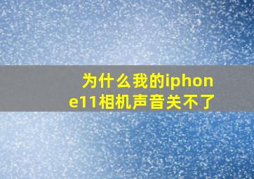 为什么我的iphone11相机声音关不了