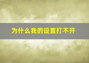 为什么我的设置打不开