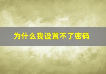 为什么我设置不了密码