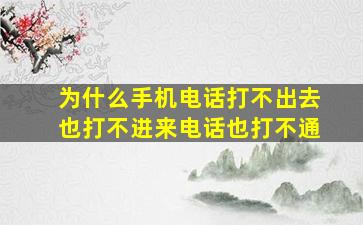 为什么手机电话打不出去也打不进来电话也打不通