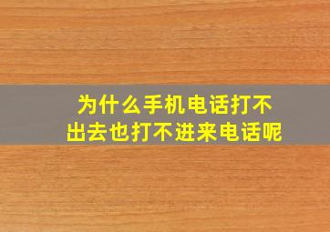 为什么手机电话打不出去也打不进来电话呢