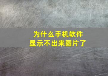 为什么手机软件显示不出来图片了