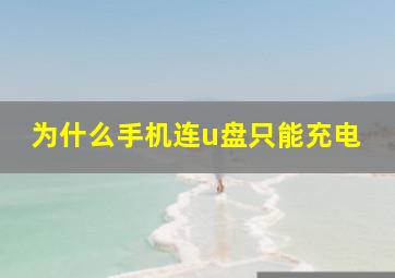 为什么手机连u盘只能充电