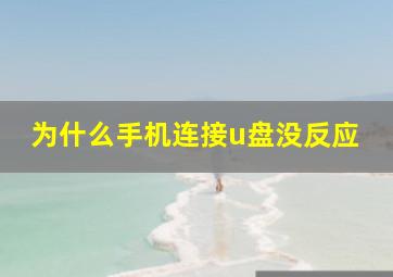 为什么手机连接u盘没反应