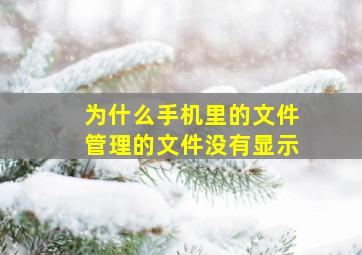 为什么手机里的文件管理的文件没有显示