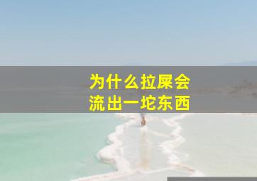 为什么拉屎会流出一坨东西