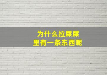 为什么拉屎屎里有一条东西呢