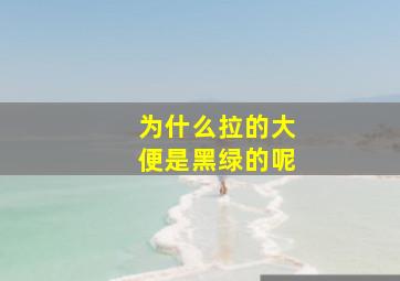 为什么拉的大便是黑绿的呢