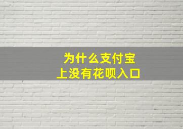 为什么支付宝上没有花呗入口