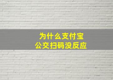 为什么支付宝公交扫码没反应