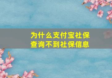 为什么支付宝社保查询不到社保信息