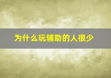 为什么玩辅助的人很少