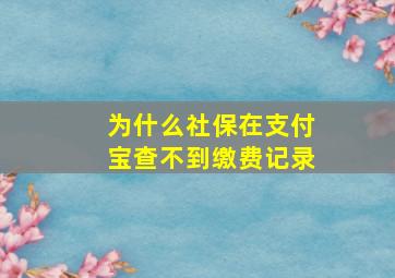 为什么社保在支付宝查不到缴费记录