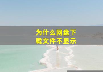 为什么网盘下载文件不显示