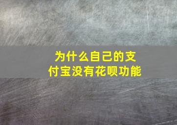 为什么自己的支付宝没有花呗功能