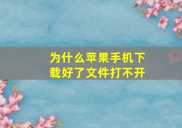 为什么苹果手机下载好了文件打不开