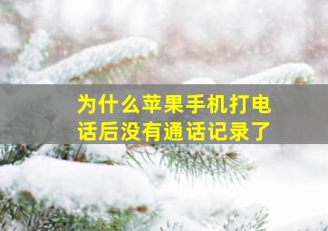 为什么苹果手机打电话后没有通话记录了