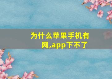 为什么苹果手机有网,app下不了