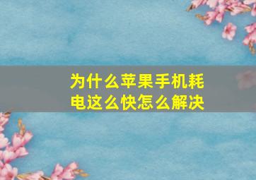 为什么苹果手机耗电这么快怎么解决