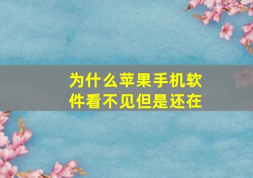 为什么苹果手机软件看不见但是还在