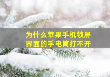 为什么苹果手机锁屏界面的手电筒打不开