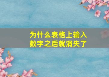 为什么表格上输入数字之后就消失了