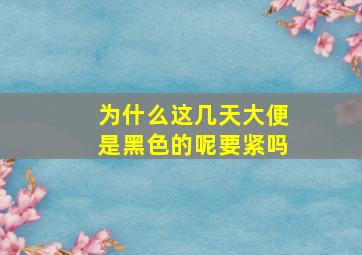 为什么这几天大便是黑色的呢要紧吗