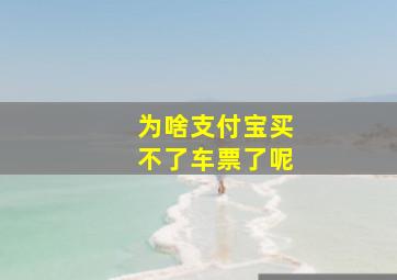 为啥支付宝买不了车票了呢