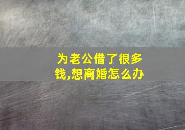 为老公借了很多钱,想离婚怎么办