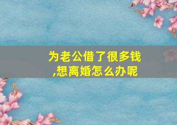 为老公借了很多钱,想离婚怎么办呢