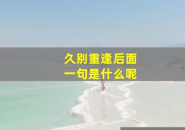 久别重逢后面一句是什么呢