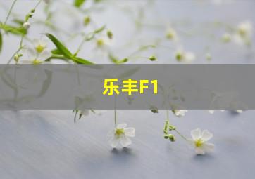 乐丰F1