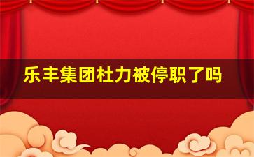 乐丰集团杜力被停职了吗