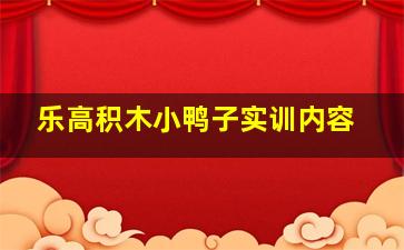 乐高积木小鸭子实训内容