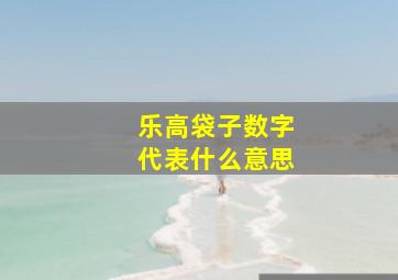 乐高袋子数字代表什么意思