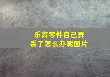 乐高零件自己弄丢了怎么办呢图片