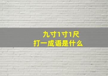 九寸1寸1尺打一成语是什么