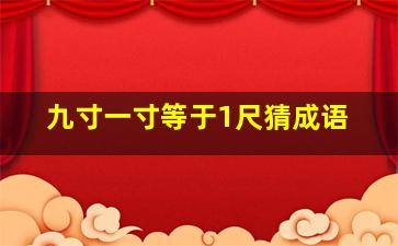 九寸一寸等于1尺猜成语