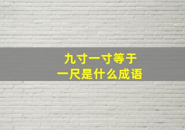 九寸一寸等于一尺是什么成语