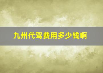 九州代驾费用多少钱啊